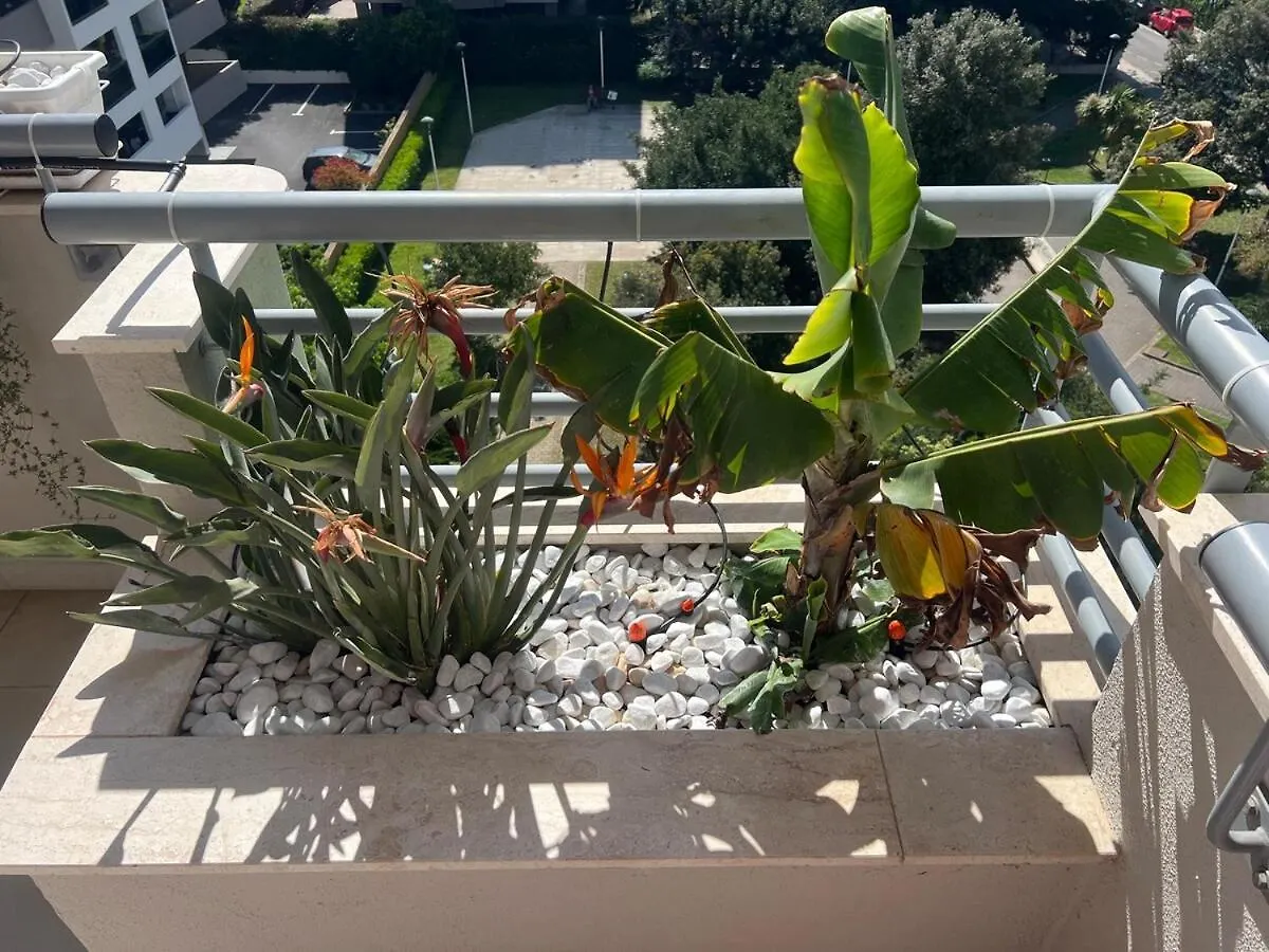 Med Vista Apartment Cagliari